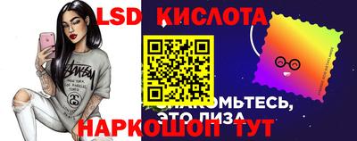 прущие грибы Конаково