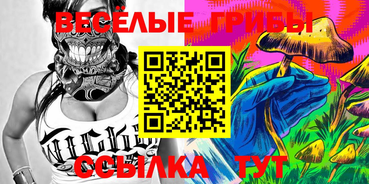 Псилоцибиновые грибы Psilocybe  Псилоцибиновые грибы MAGIC MUSHROOMS  Вход с VPN  Кемерово 